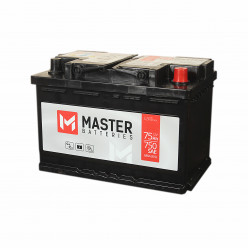 Master Batteries - 74 (о.п.) низ.