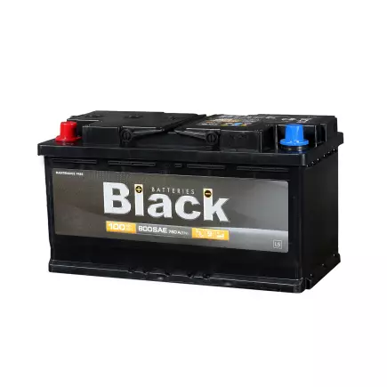 BLACK - 100 (п.п.) BLACK - 100 (п.п.)
